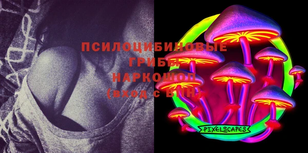 MESCALINE Каменка
