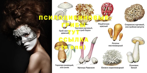 MESCALINE Каменка